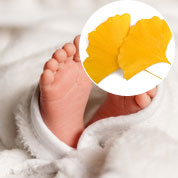 Ginkgo-bebé para nascimento ou baptismo